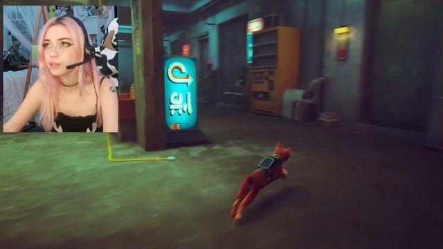 She was tied up ? (STRAY gameplay part 5) смотреть онлайн