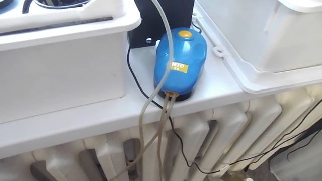 Проращиватель семян Аэросад своими руками 1 серия смотреть онлайн