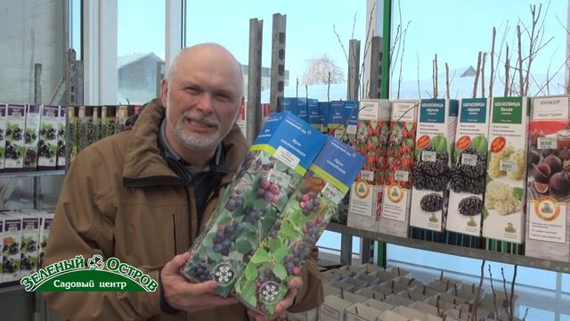 Выращивание экзотических для Урала культур, ирга, шелковица, годжи, боярышник, кизил смотреть онлайн