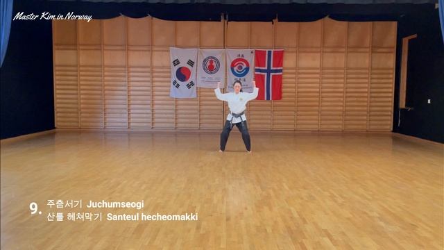 Ji 2 jang/ TTU poomse nr 9/ 지 2 장/ 전통태권도회/ Traditional Taekwondo Union смотреть онлайн