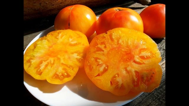 Самый лучший томат в мире 2023 г.!!! Высокоурожайный, сладкий и вкусный томат сорта ГАМИЛЬТОН!!! смотреть онлайн