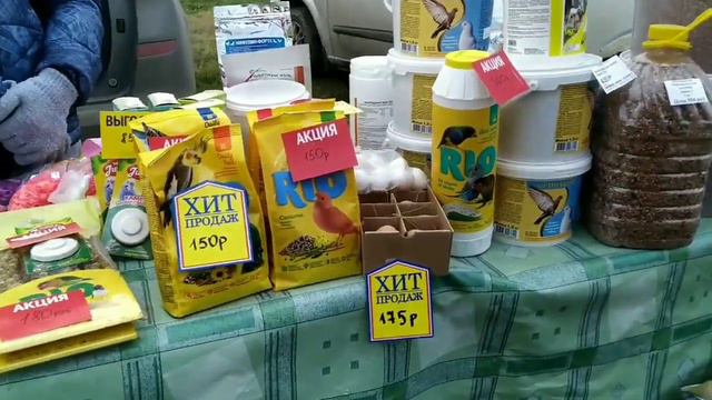 Выставка голубей, Нижнегорск. смотреть онлайн