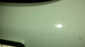 Удаление следов от насекомых на автомобиле дёшево и без вреда краске авто