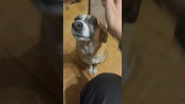 у герды появилась приёмная плимяница смотреть онлайн