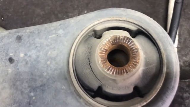 Домашний Портрет