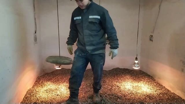 Высадка Десанта На Пол//Напольное Содержание Бройлера смотреть онлайн