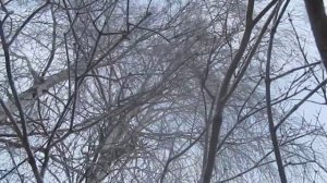 "Снег летит и летит"