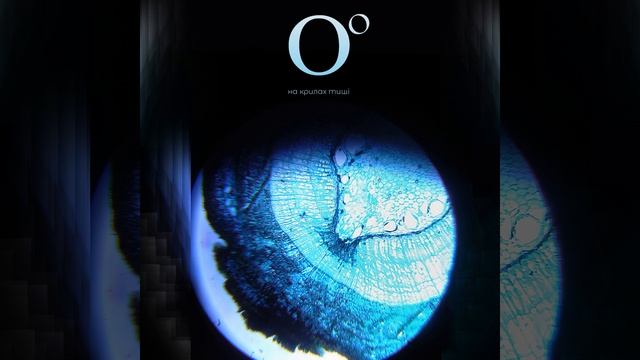 на крилах тиші смотреть онлайн