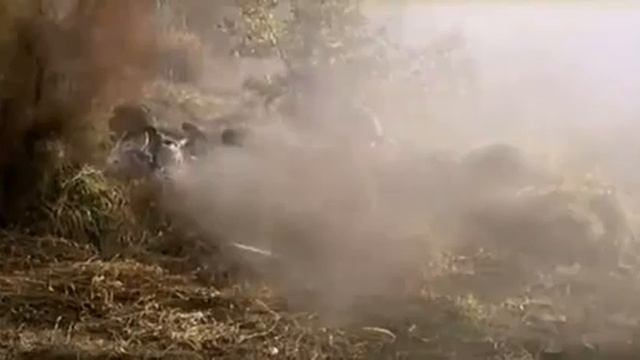 Сектор газа Туман vs Прорыв смотреть онлайн