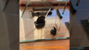 Эластичность силиконового герметика Kortlinger