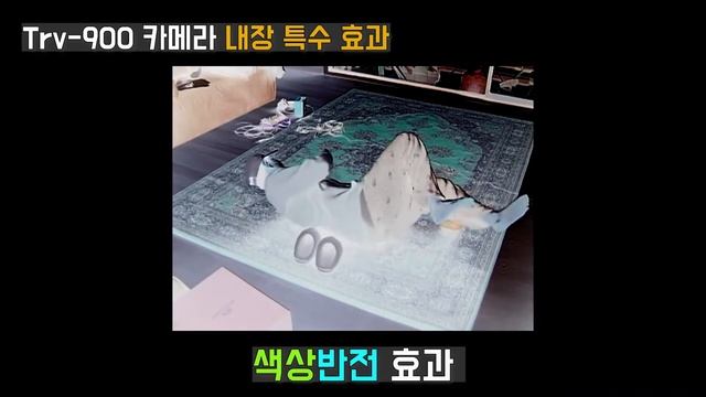 추억속의 6mm 캠코더 sony Trv900 90년대 300만원 하던게 지금은 3만원 смотреть онлайн