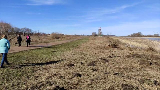 Новый причал яхт-клуба в Елгаве и вышка смотровая 1 марта 2021 смотреть онлайн