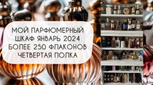 ВЫ ЭТО ЖДАЛИ!\ МОЙ ПАРФЮМЕРНЫЙ ШКАФ 2024\ ЧЕТВЕРТАЯ ПОКА\ ЗАКЛЮЧИТЕЛЬНАЯ\ БОЛЕЕ 250 ФЛАКОНОВ