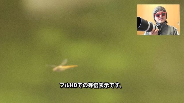 Canon EOS 7D Mark II 長期使用レビュー EF100-400mm F4.5-5.6L IS II USM 望遠ズームレンズ 使いこなし смотреть онлайн