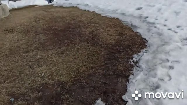 Демонтаж русской печки-лежанки. смотреть онлайн