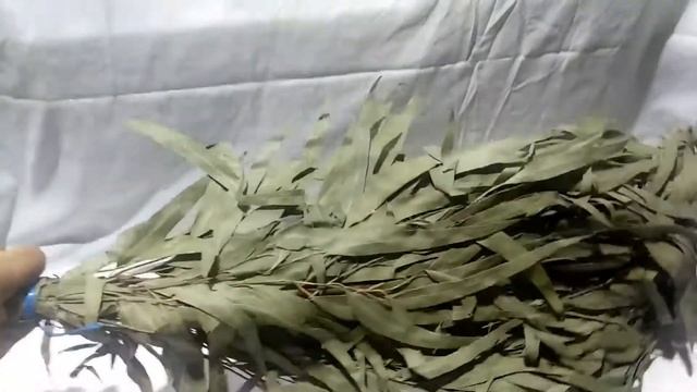 Банный веник Эвкалипт смотреть онлайн