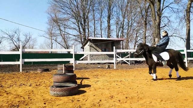 Тренировка пони Узора смотреть онлайн