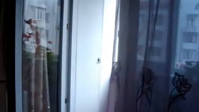 ПРОДАЕТСЯ 3-КОМНАТНАЯ С РЕМОНТОМ В СЕВАСТОПОЛЕ смотреть онлайн
