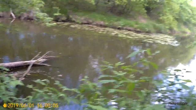 Ловля Голавля спиннингом на реке на жуков и мух весной в проводку в мае. Рыбалка в проводку #2. смотреть онлайн