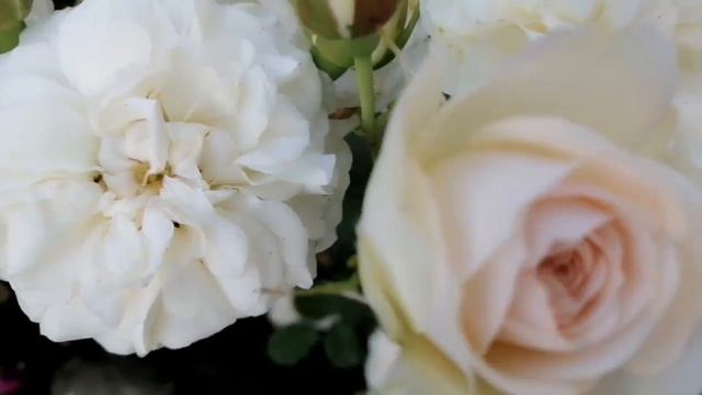 Зима,холода! И жаркое,роскошное лето! Приглашаю в июльский сад! смотреть онлайн