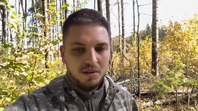 ЗОЛОТАЯ ОСЕНЬ ПОДМОСКОВЬЯ! Сбор белых грибов в октябре смотреть онлайн