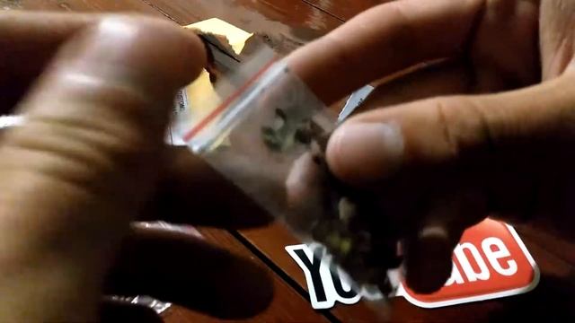 Семена клена и растение комнатное с aliexpress смотреть онлайн