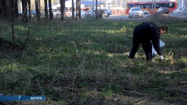 Собери мусор - получи путевку на море смотреть онлайн