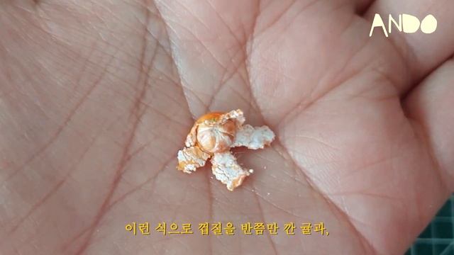 귤귤귤 귤이왔어요~ 초미니 귤만들기 Miniature Clementine Tutorial смотреть онлайн