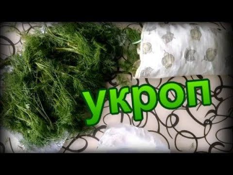 Замороженный укроп смотреть онлайн
