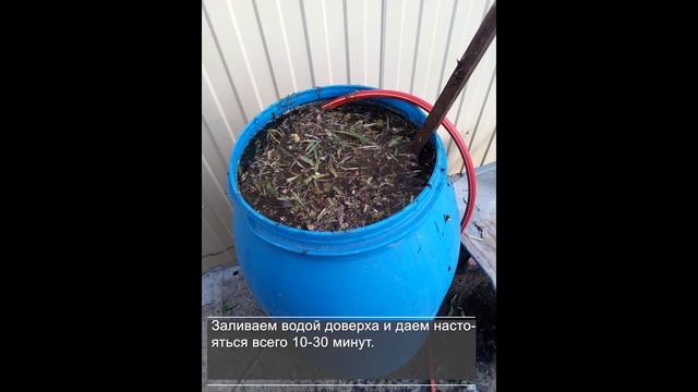 Самое лучшее органическое удобрение. Ферментированная трава #ТриЭкоОгород #ТриЭкоИнструкция смотреть онлайн