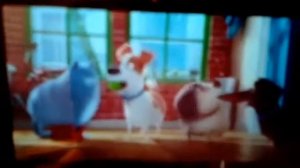 Тайная жизнь домашних животных 1 часть