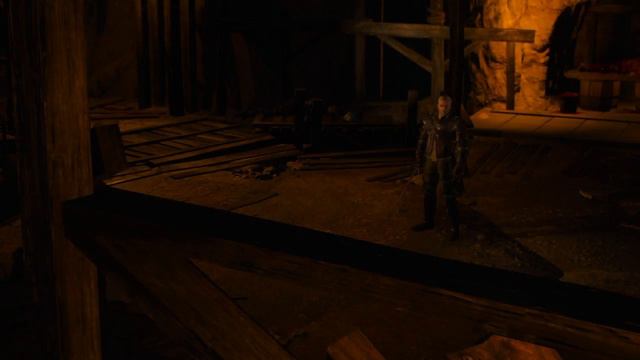 The Witcher 3: Брукса смотреть онлайн