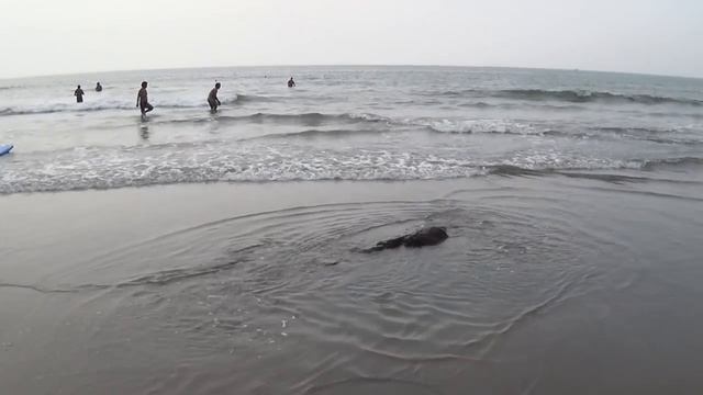 Ты двигаешься туда, чему уделяешь внимание! смотреть онлайн