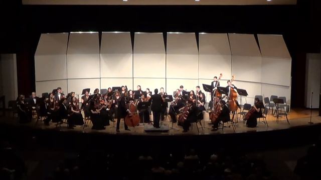 BVNW Symphonic Orchestra - "Bass Concerto in G Major" | Dragonetti смотреть онлайн
