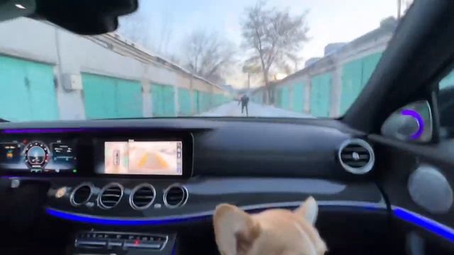 ПРОДОЛЖЕНИЕ ДЕКСТЕРА / ПРАНК СЖЁГ ЛИ МАШИНУ ЛЁХА?! / ДЕКСТЕР В ШОКЕ смотреть онлайн