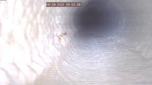 Бел обл Криничное сокращенное