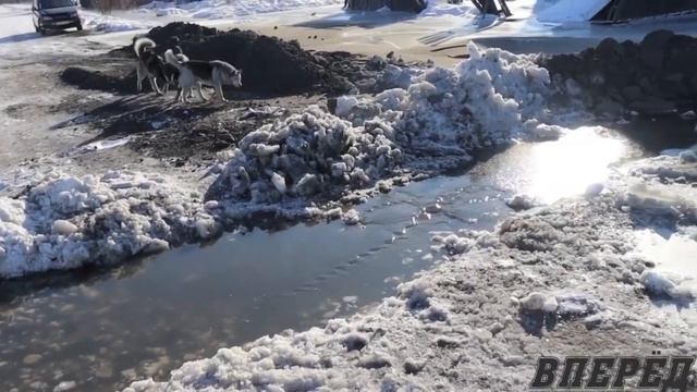 Зловонные Реки в Магдагачи смотреть онлайн