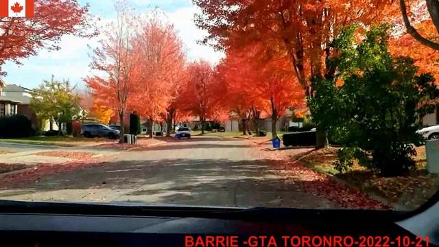 Kанадские клены -Красота Осень в Канаде: смотреть онлайн