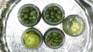 Маринованный крыжовник на зиму