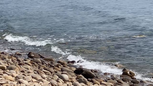 Вот так… 15 апреля 2024 г. смотреть онлайн