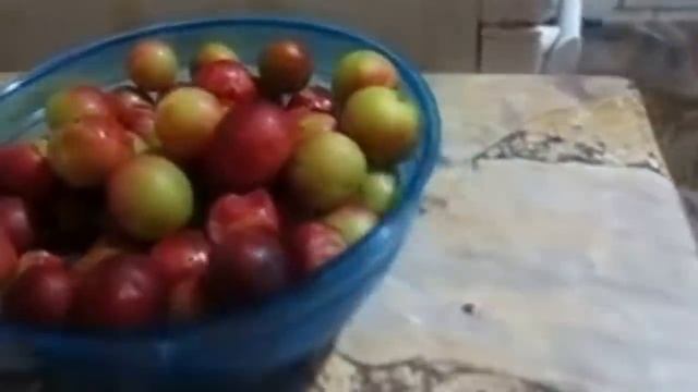 Ягоды, Которые Вы Увидите Впервые в Жизни