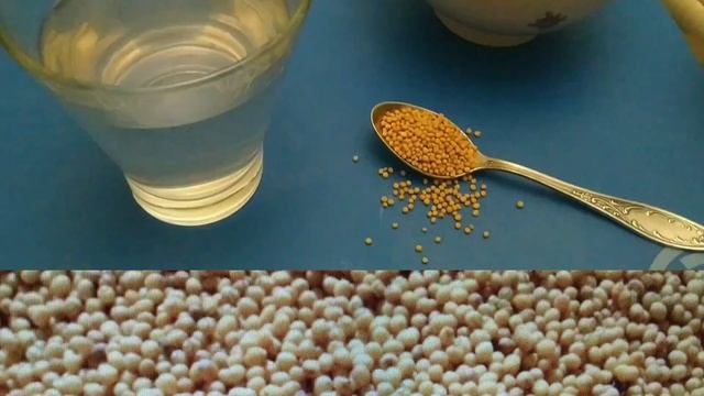 #ЛечениеГеморроя и сахарного диабета народными средствами! 4 действенных способа. смотреть онлайн