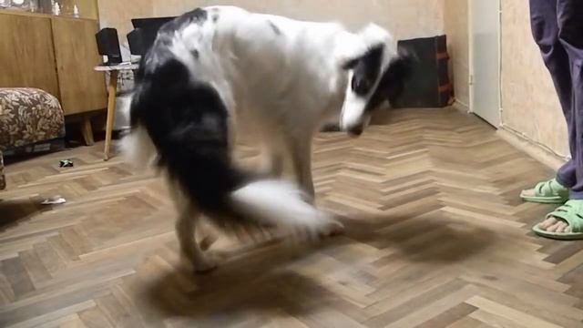 Фантазии Вибраций