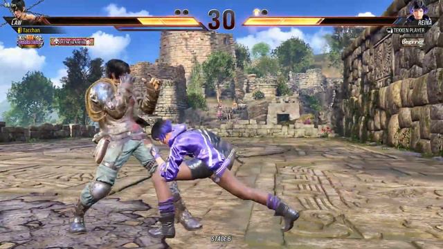 REINA HIGH LEVEL MATCH T8. смотреть онлайн