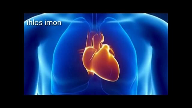 Содик Самарканди смотреть онлайн