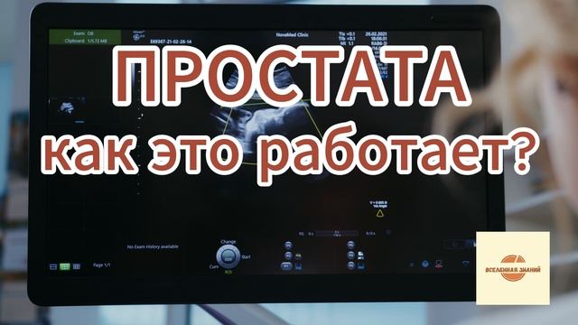 простата, как это работает?