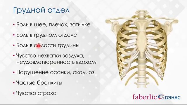 Вебинар ДЭНАС Вертебра