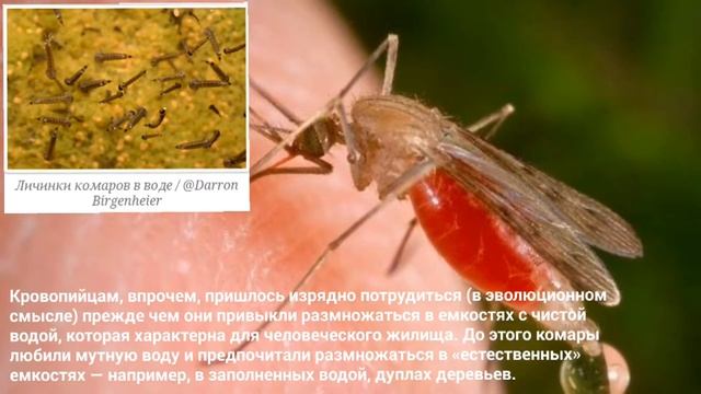 Учебник по Творческому Самовыражению