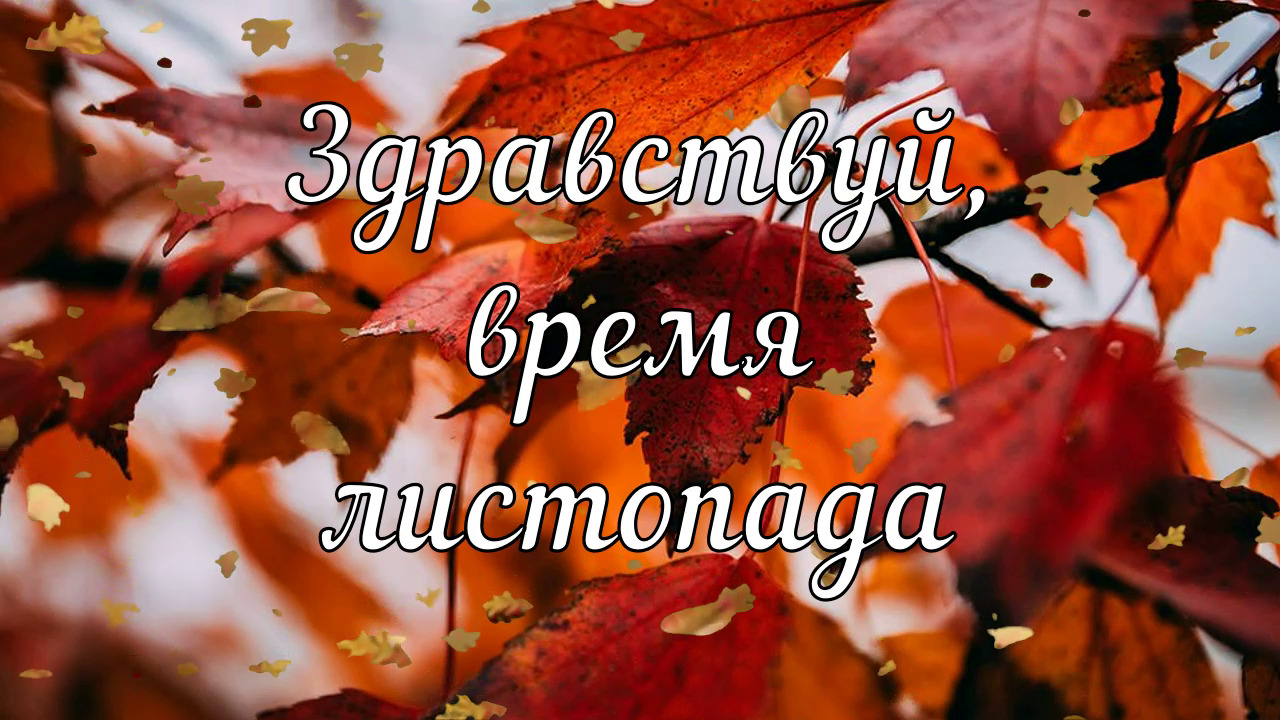 ЗДРАВСТВУЙ, ВРЕМЯ ЛИСТОПАДА ??? ОЧЕНЬ КРАСИВАЯ МУЗЫКАЛЬНАЯ ОТКРЫТКА! ??? смотреть онлайн