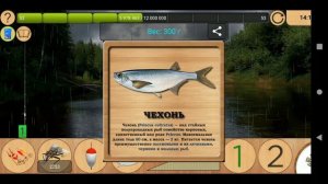 Как поймать Чехонь на Лесной реке [NEW] | Реальная Рыбалка